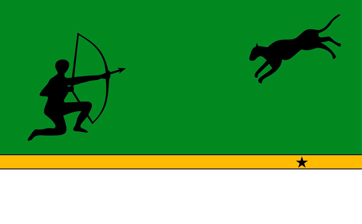 Bandera del Departamento del Amazonas