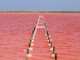 Salinas de Galerazamba