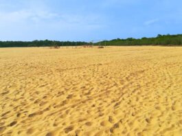 playa bonita cumaribo-vichada