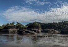 Parque Nacional Natural El Tuparro