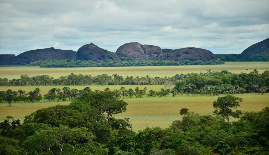 Refugio Natural Bojonawi en vichada