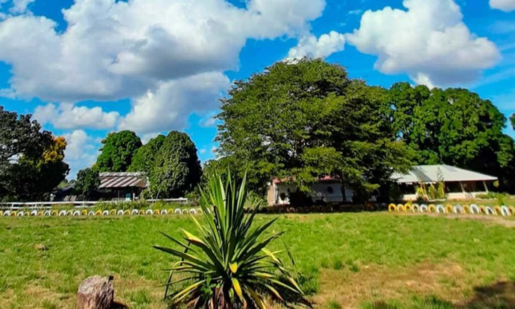 Finca Agroturística Florez Rojas de Puerto Carreño