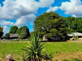 Finca Agroturística Florez Rojas de Puerto Carreño