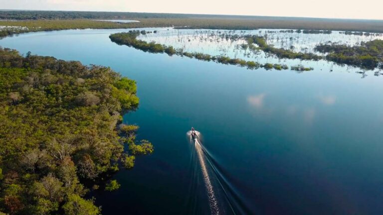 Gran Selva de Matavén, Cumaribo vichada