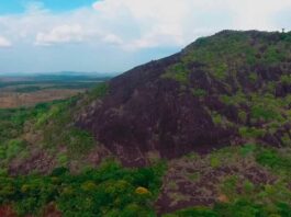 Cerro de Cazuarito en lomas de casuarito en vichada, colombia