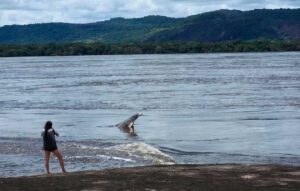 Bocas del rio meta, Puerto Carreño - Vichada
