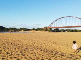 Puente de Pasoganado o pasogano, Puerto Carreño, Vichada