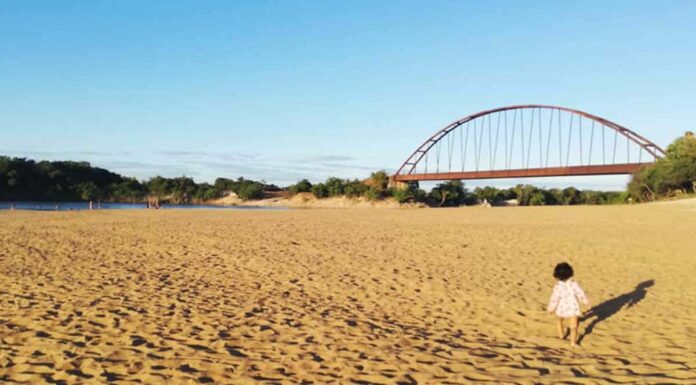 Puente de Pasoganado o pasogano, Puerto Carreño, Vichada