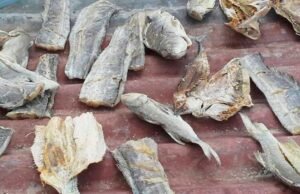 Corned fish o Pescado en Conserva