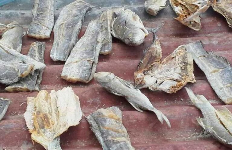 Corned Fish o Pescado en Conserva