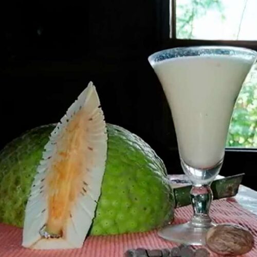 Como hacer un Jugo de fruto del árbol de pan