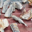 Corned Fish o Pescado en Conserva-gastronomia