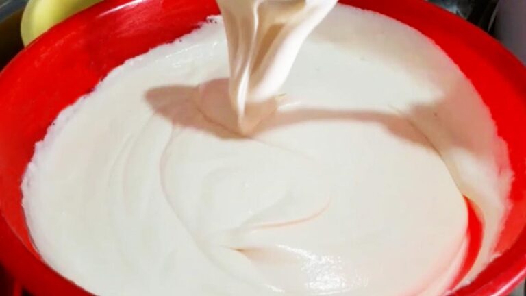 Suero Costeño receta colombiana