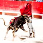 Ley prohibe las corridas de toros en Colombia.