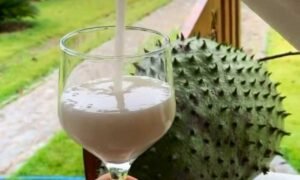 fresco de guanabana receta colombiana