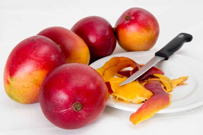 Colombia exporta 6 toneladas de mango de azúcar a Estados Unidos. Foto: Pixabay.