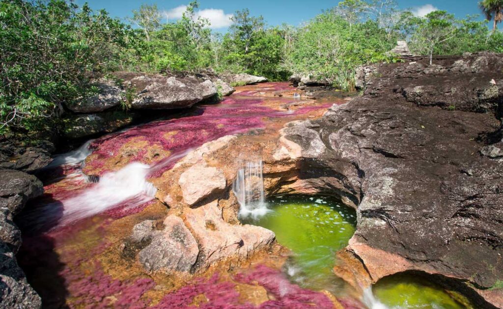 Caño Cristales La Macarena Colombia
