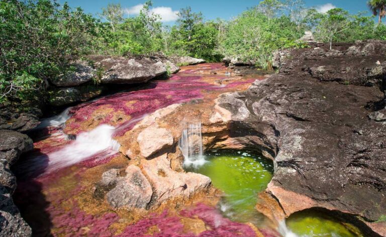 Caño Cristales La Macarena Colombia