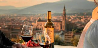 Cata de vinos en Europa