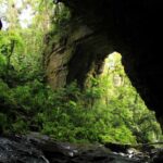 Parque Nacional Natural Cueva de los Guácharos.