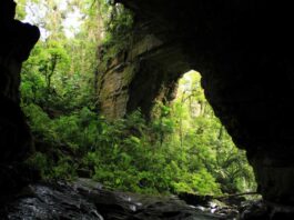 Parque Nacional Natural Cueva de los Guácharos.