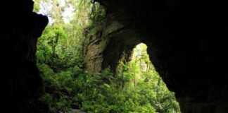 Parque Nacional Natural Cueva de los Guácharos.