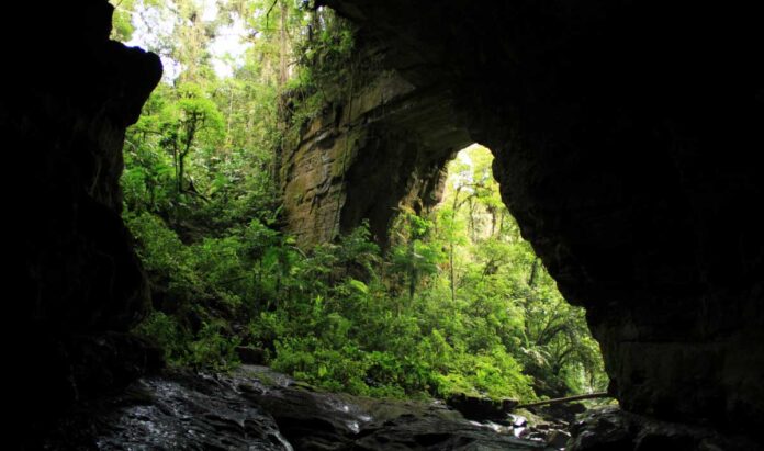 Parque Nacional Natural Cueva de los Guácharos.