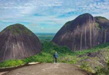 Cerros de Mavecure