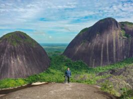 Cerros de Mavecure