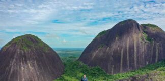 Cerros de Mavecure