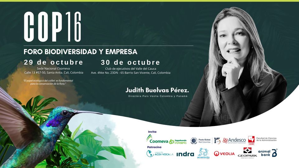 Judith Buelvas Pérez COP16