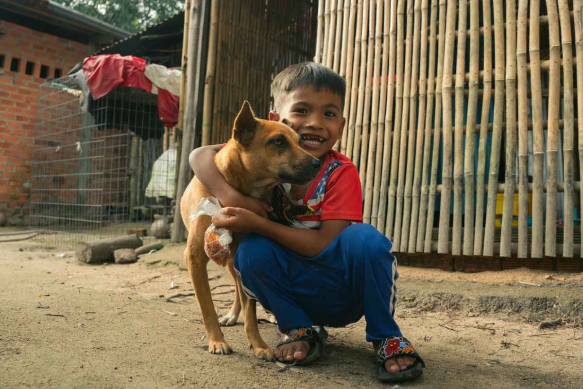 Educación sobre protección animal será obligatoria en colegios de Colombia: así funcionará la nueva ‘Ley Empatía’