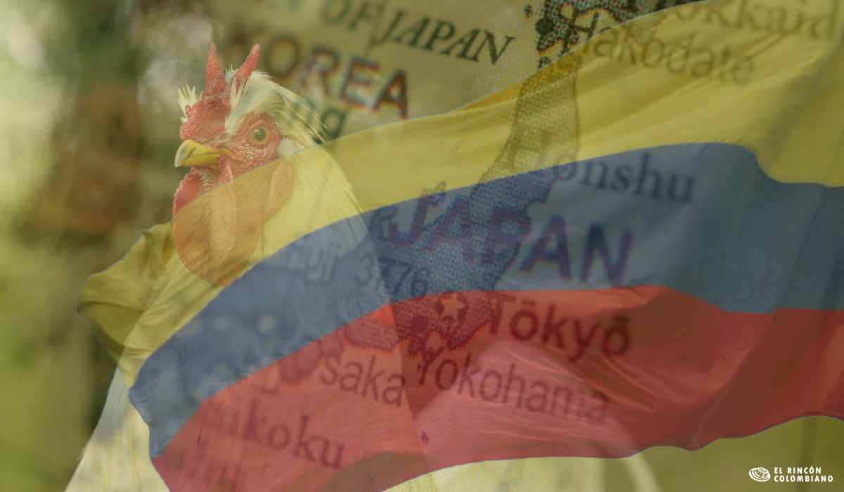 Hito Histórico: Colombia exporta pollo a Japón por primera vez