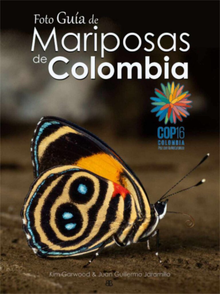 Guía fotográfica de Mariposas de Colombia descargar