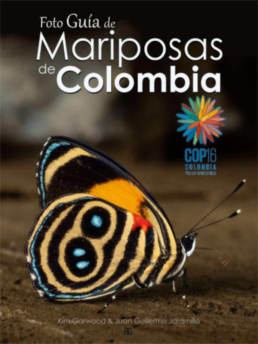 Guía de Mariposas de Colombia: Descarga gratis el catálogo fotográfico de mariposas más grande del mundo