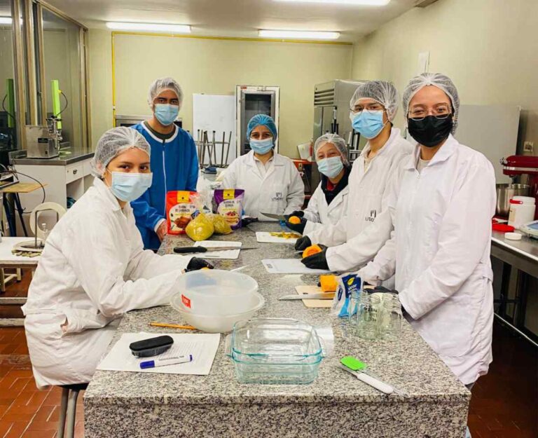 UTadeo students develop protein supplement for bees: science in Colombia.